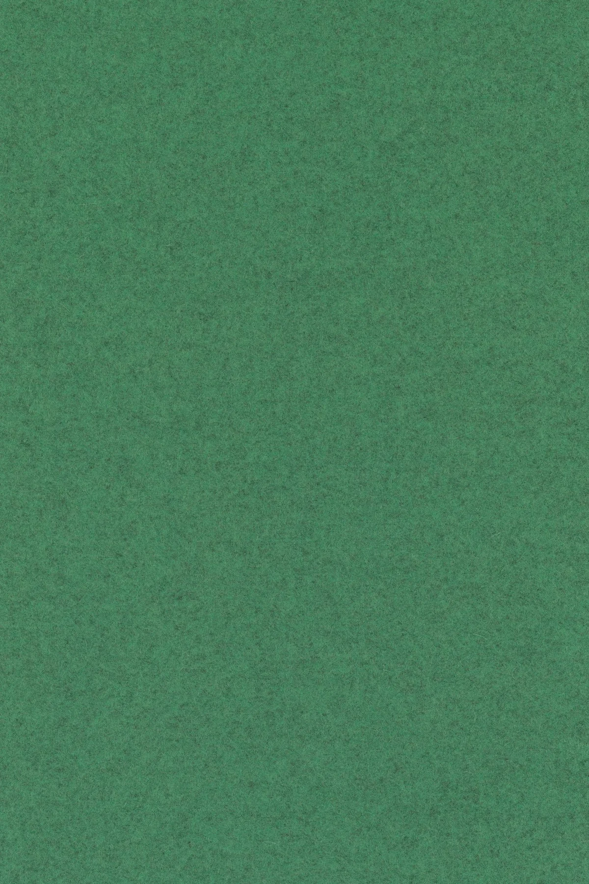 Fabric sample Divina Melange 3 937 green